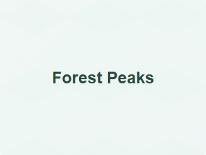 Hand-Drawn Fonts Inspired by Forests and Mountains